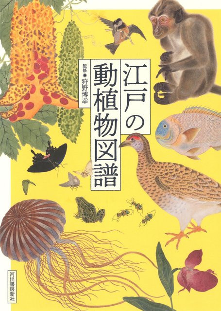 Pflanzen- und Tierillustrationen der Edo-Zeit, Neue Ausgabe, Sachbuch - Bild 1