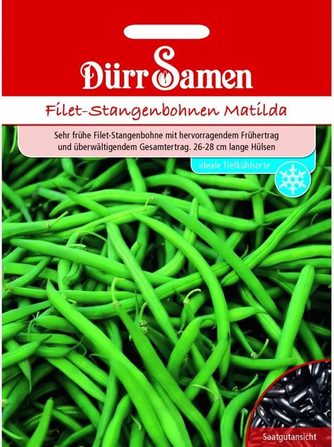 Dürr Samen Matilda Filet-Stangenbohnen Saatgut 155 g - Bild 1