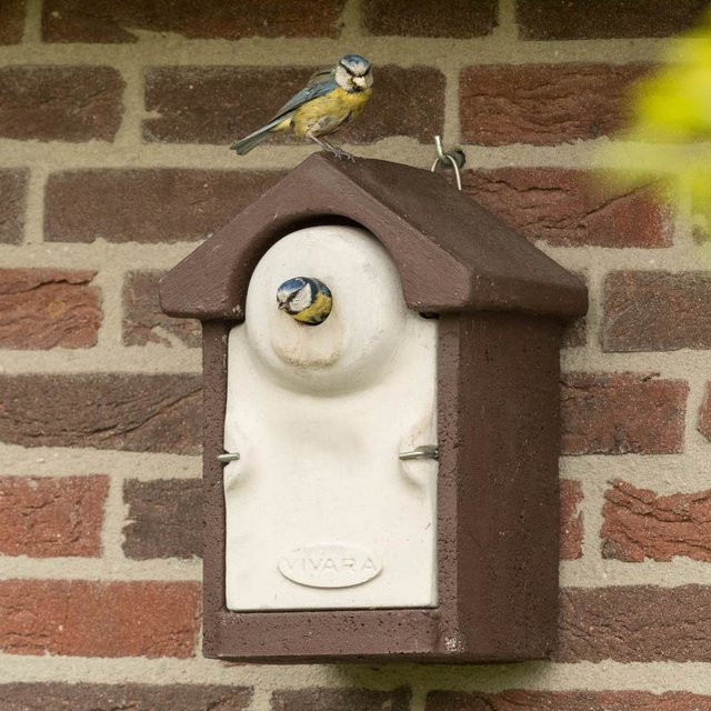 Nistkasten Sevilla WoodStone von CJ Wildlife in Braun aus Holzbeton - Bild 1