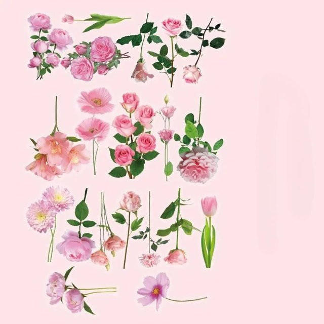 40 Stück xianyi01 Blumen Pflanzen Aufkleber aus PET, wasserdichte DIY Dekoration in Pink und Multicolour für Planer, Scrapbooking und Laptops - Bild 1