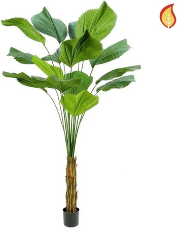 Künstliche Strahlenpalme Aplanta Höhe: 200 cm