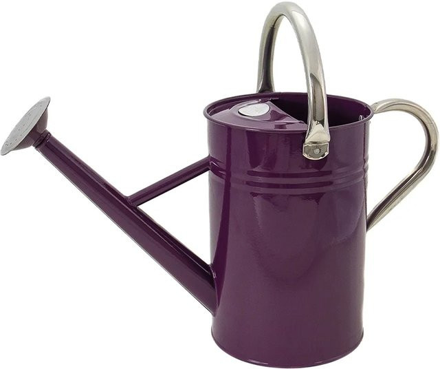 Kent & Stowe Giesskanne mit abnehmbarem Brausekopf in Violett, 4,5 l - Bild 1