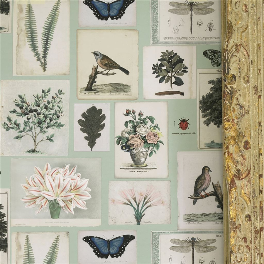 John Derian Tapete Flora and Fauna Botanical Design in Cloud Blue und Multicolour, Vlies-Tapete - Bild 1