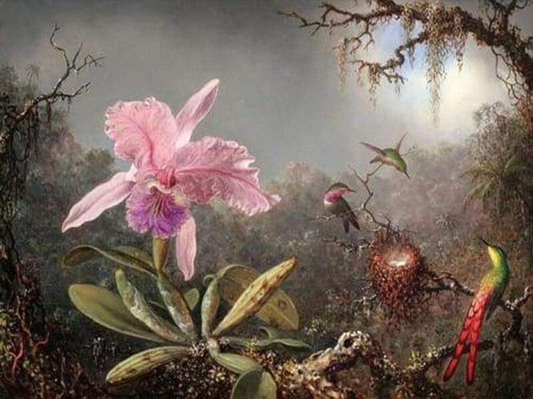 FIYO Diamond Painting Set Orchideen und Kolibri, Mehrfarbig, B/H: 30 x 20 cm - Bild 1