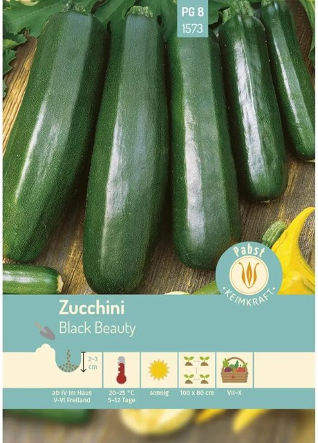 Pabst Keimkraft Zucchini Black Beauty Saatgut für den Freilandanbau - Bild 1