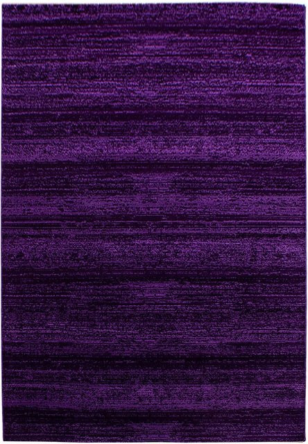 Ayyildiz Kurzflorteppich Plus 8000 Violett B/L: 120 x 170 cm - Bild 1
