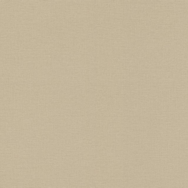 Rasch Vliestapete Salsa 449815 Uni Hellbraun Beige, Breite: 53 cm, Länge: 1005 cm - Bild 1