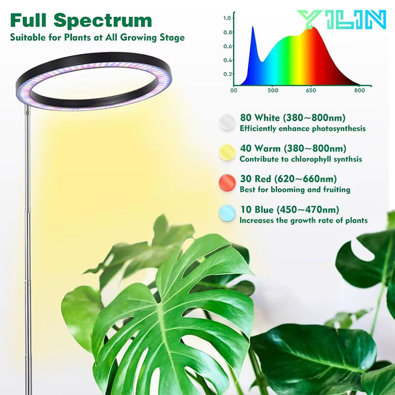 YILIN LED-Pflanzenwachstumslampe Vollspektrum in Schwarz mit höhenverstellbarem Ring und Timer für Zimmerpflanzen, Höhe: 16 cm - Bild 4