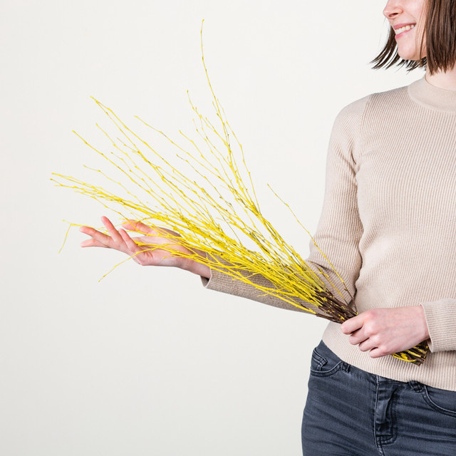 Gelb gefärbte Birkenzweige von BLUME2000 für deine Osterdeko, 1 Bund - Bild 1