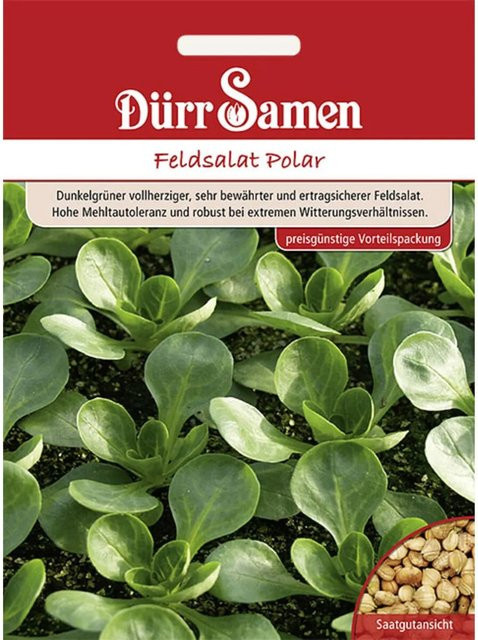 Dürr Feldsalat Polar Saatgut für Sommer und Herbst, 7 g - Bild 1