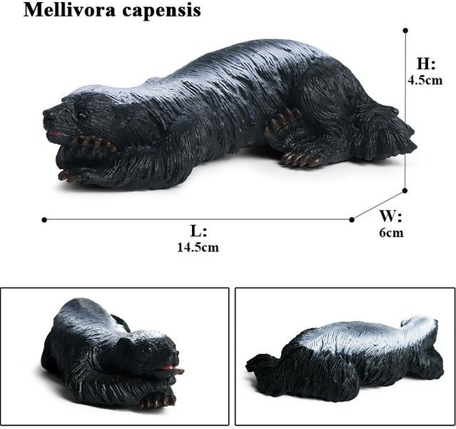 Oenux Honigdachs Mellivora Capensis Modell Actionfiguren Tier-Modellspielzeug ab 3-6 Jahre - Bild 1