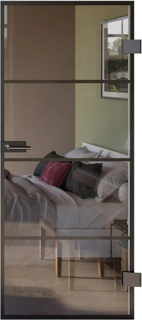Skyscope Portal Drehtür-Set Slimwork Typ 9 in Schwarz und Transparent aus Aluminium und Klarglas, B: 83,4 cm, H: 209,7 cm - Bild 1