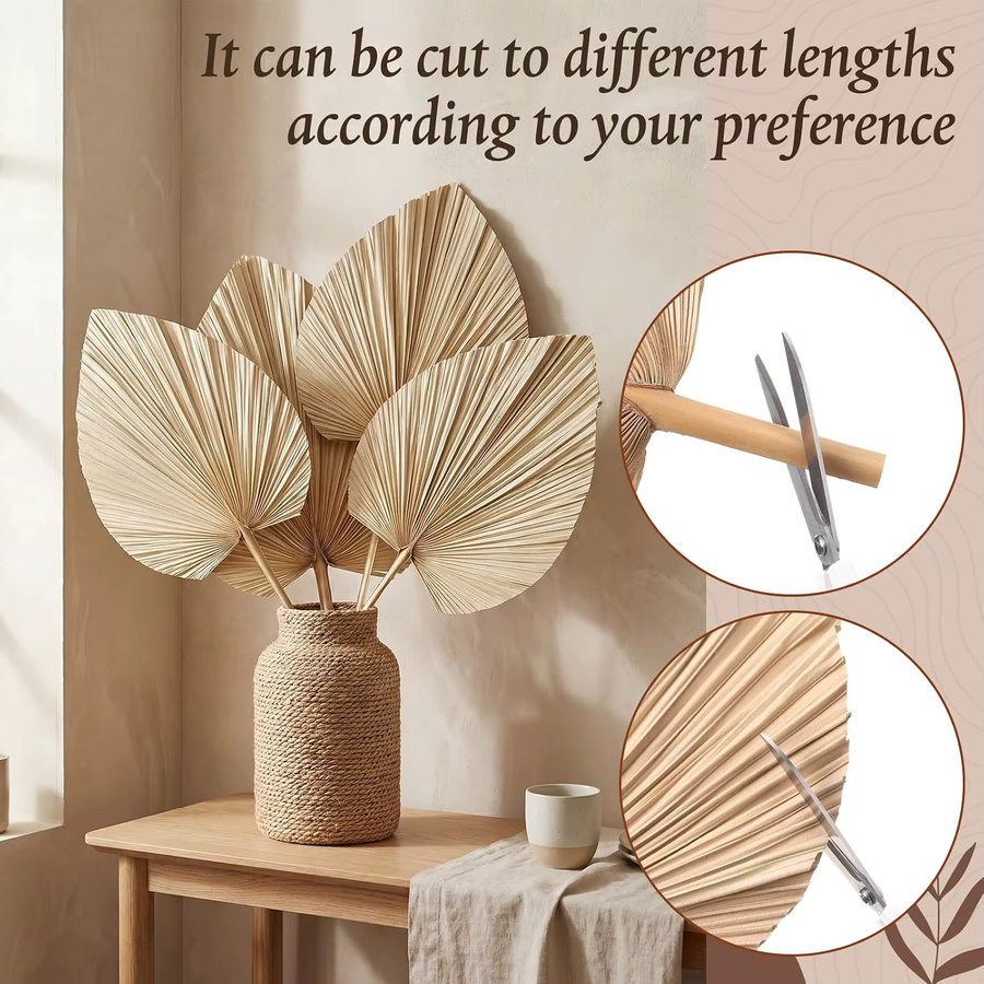Novabright 6 Stück Künstliche Getrocknete Palmblätter in Beige, Boho Tropische Palmen für Tischdekoration, Hochzeiten und Partys, Höhe: 38 cm - Bild 3