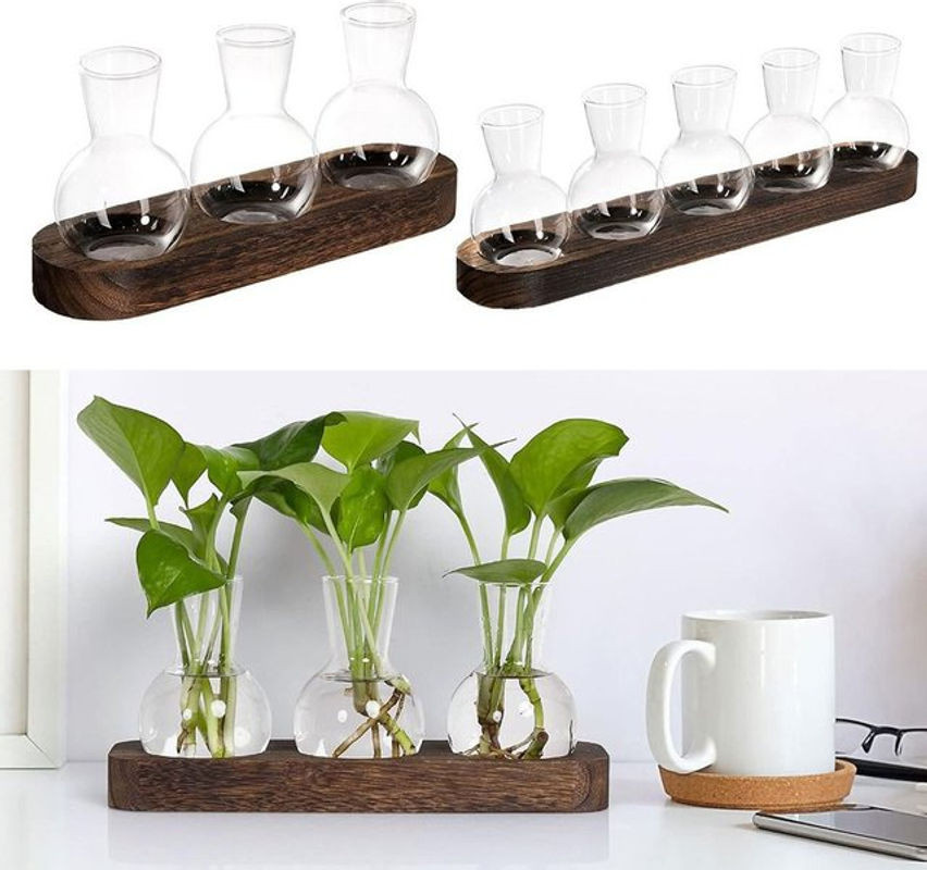 Moderne Pflanzenterrarium-Vermehrungsstation aus Glas und Holz mit flaschenförmigen Vasen in Transparent und Braun - Bild 1