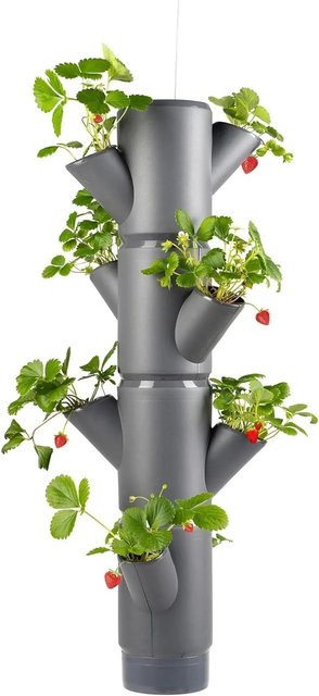 Gusta Garden Sissi Strawberry Erdbeerbaum Hochbeet System Hanging in Anthrazit - Bild 1