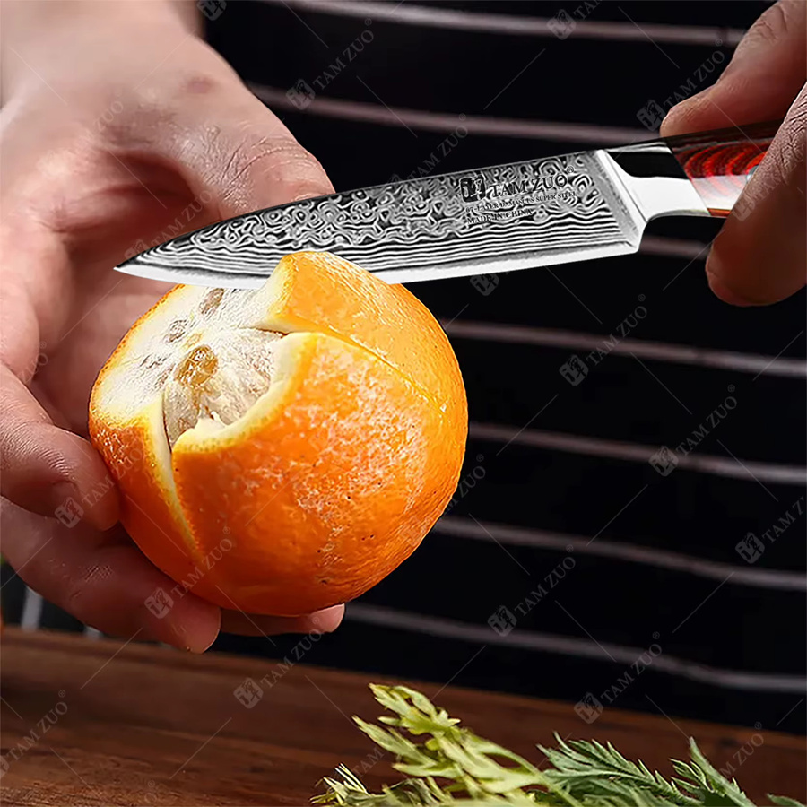 TAMZUO Schälmesser aus 67-Lagen Damaszener Stahl mit Holzgriff, 4,8 Zoll Japanisches Gemüsemesser für die Küche - Bild 4