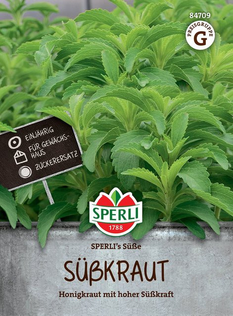 SPERLI Süßkraut-Samen Sorte Süße - Bild 1