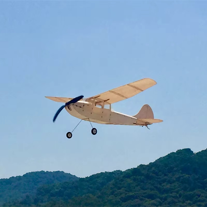Real Hawk Cessna L-19 Balsaholz-Set, DIY-Flugzeug, Holz - Bild 3