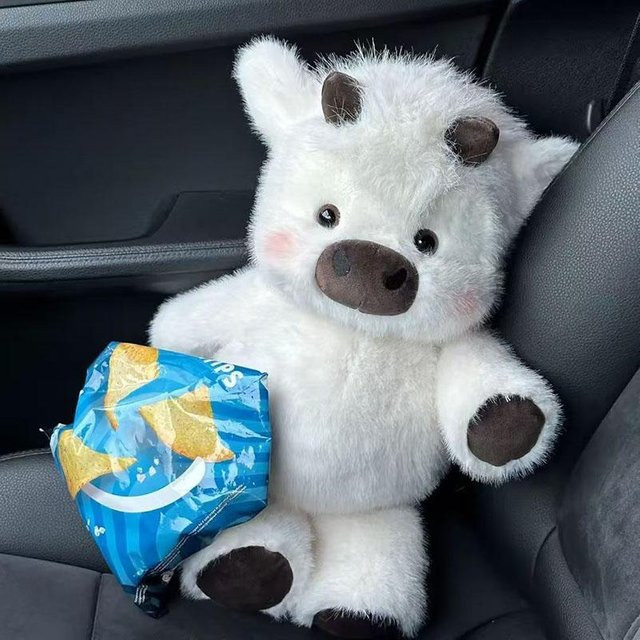 Binchi Fitness Hochlandrind Plüschtier, 45cm, ab 14 Jahren - Bild 1