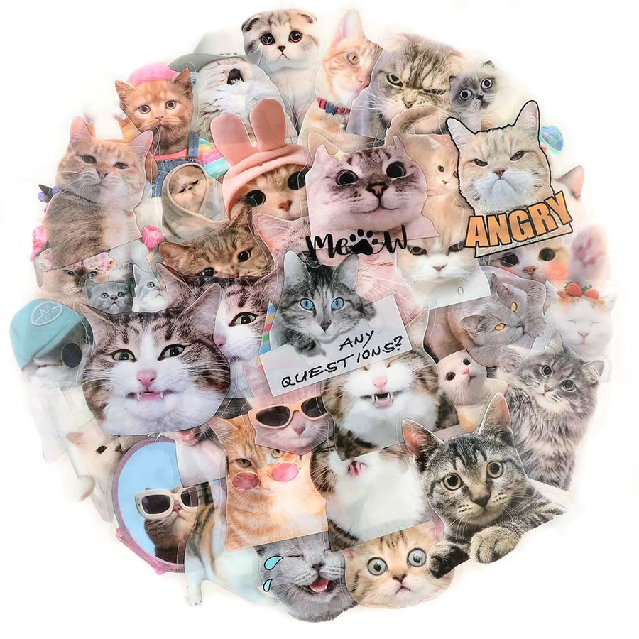 Rspctou Katze Meme Aufkleber, transparent, bunt, 10-teiliges Set - Bild 2