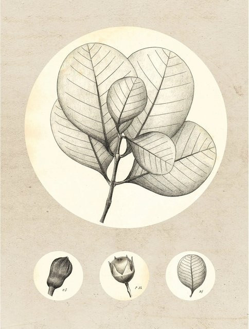 Komar Wandbild Transparent Leaf aus Qualitätsvlies, Breite: 30 cm, Höhe: 40 cm - Bild 1