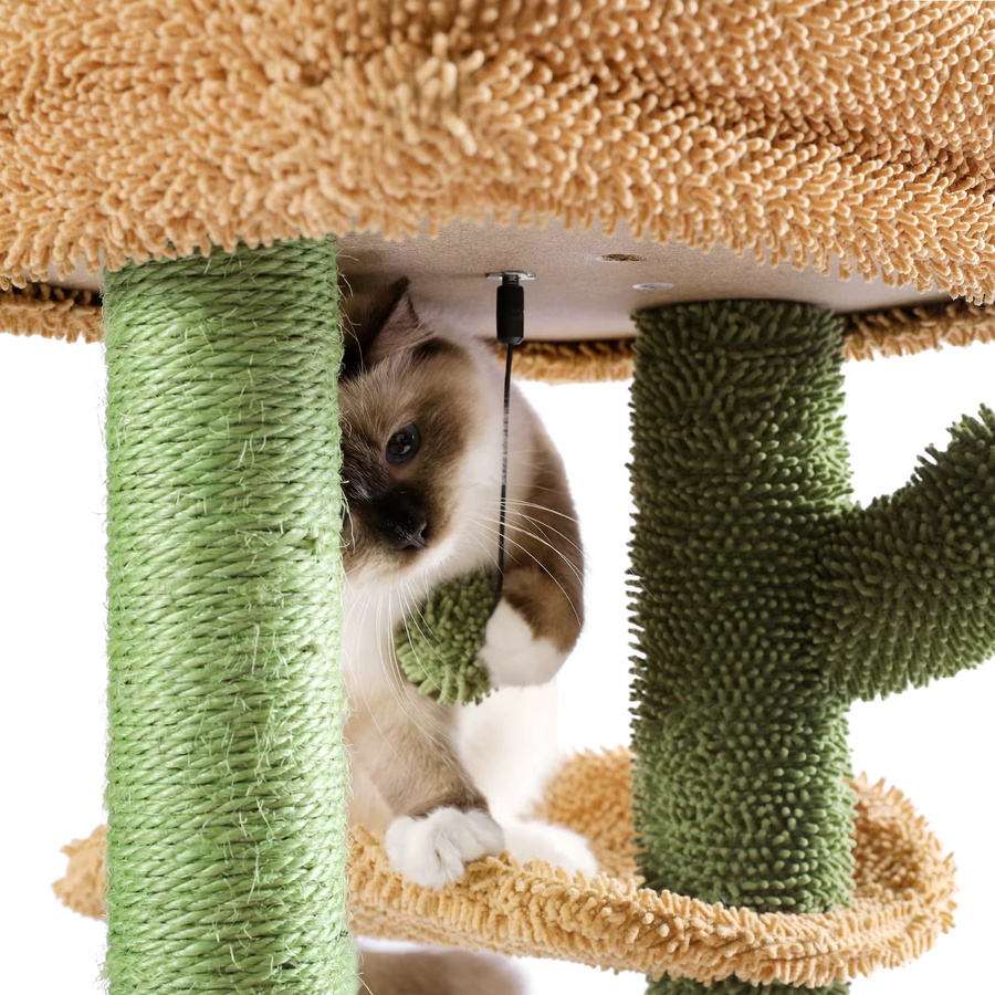 PEQULTI Kaktus-Kratzbaum für Katzen mit Korbliege, Höhle und Sisal-Elementen - Bild 3