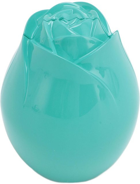 Neoglint Rosenringbox Grün, Schmuckauslage, Unisex - Bild 1