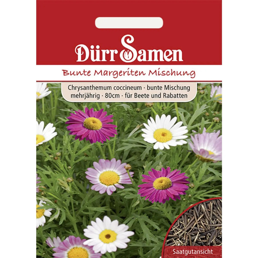 Dürr Bunte Margeriten Saatgut Mehrjährig Bunte Mischung - Bild 2