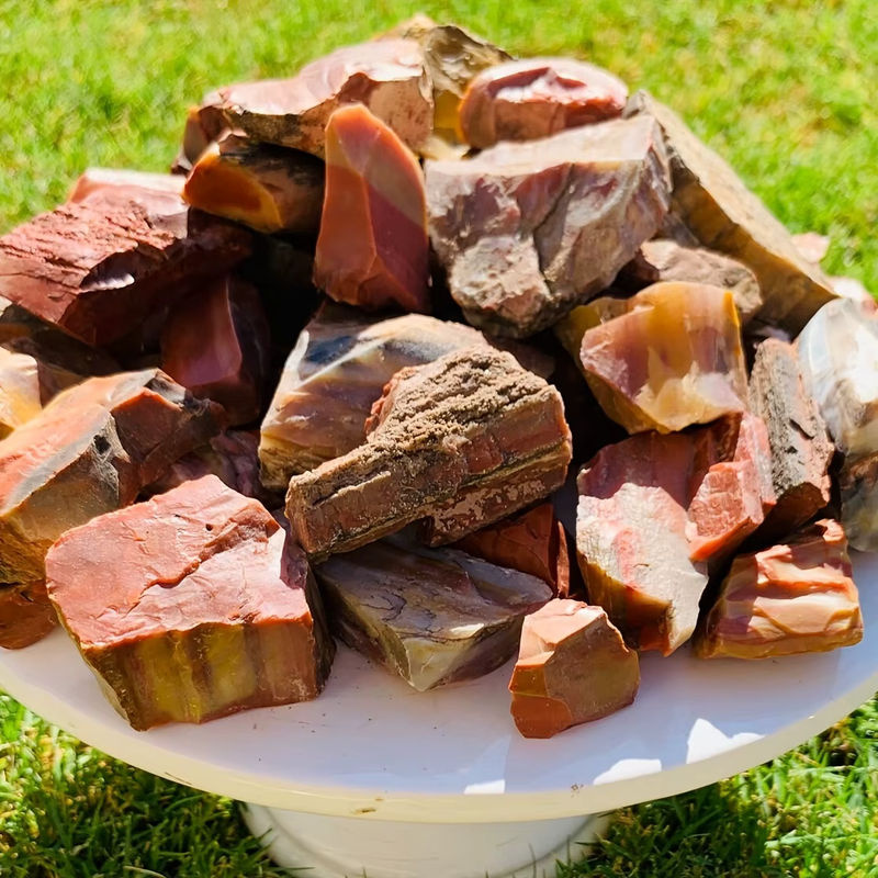 CrystalHola Natürlicher versteinertes Holz Rohstein in Mehrfarbig mit erhaltenen Holzmaserungen und Mineralien für deine Dekoration - Bild 5