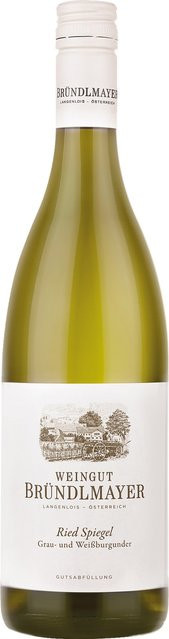 Bründlmayer Ried Spiegel Grauburgunder Weißburgunder, trocken, Weißwein, 2022, 0,75 l - Bild 1