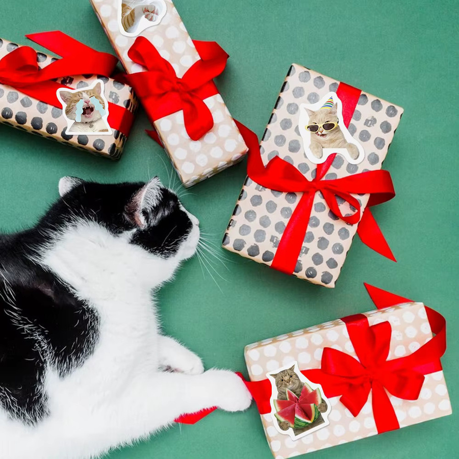 TYFYO Dankeschön Katzen Aufkleber mit niedlichen Cartoon-Tier Motiven, 500 Stück bunte Sticker aus Papier für Geschenkverpackungen, Backwaren und Geschäftsetiketten - Bild 3