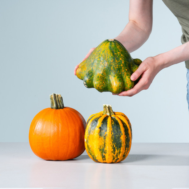 Kürbis Mix Hookie Spookie von BLUME2000 für Halloween und Herbstdeko in Multicolor - Bild 1