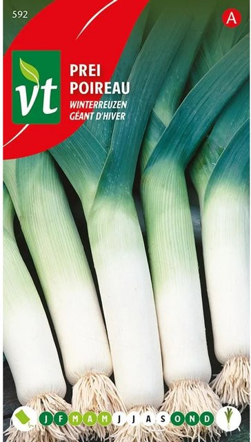 Arborix Winterlauch Samen für große Stangen, 5 g - Bild 1
