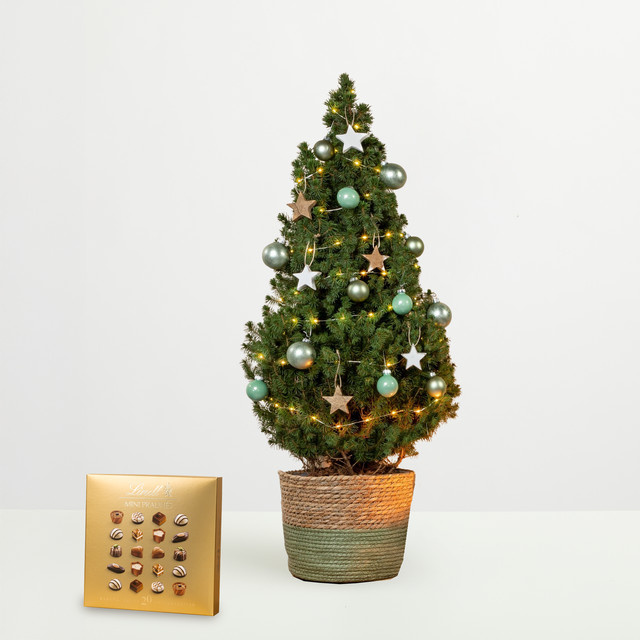 BLUME2000 Weihnachtsbaum Tischdeko mit Lindt Mini Pralinés Gold in Grün - Bild 1