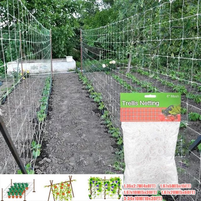 Kletternetz aus Polyester in Weiß als Rankhilfe für Gartenpflanzen wie Tomaten, Bohnen und Trauben - Bild 1