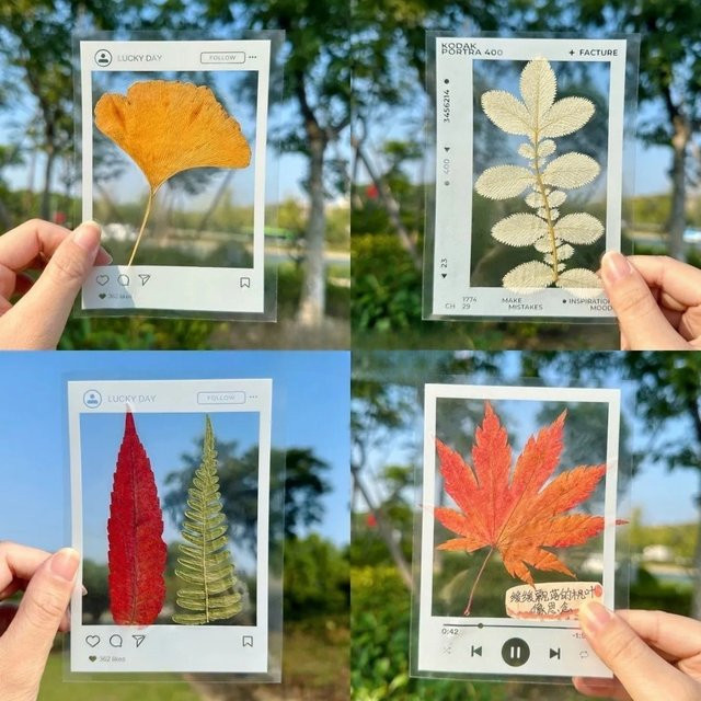 DIY transparente Lesezeichen aus Kunststoff für gepresste Blumenblätter, Set mit 20 oder 40 Stück, klarer Rahmen für handgefertigte Geschenke - Bild 1