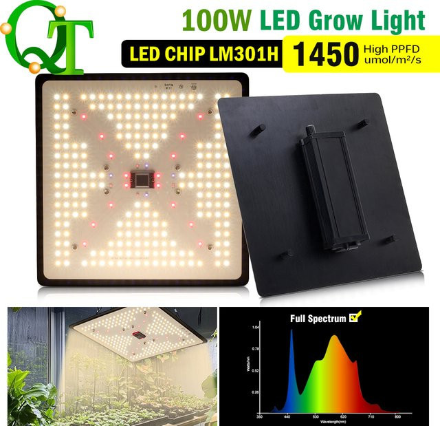 GRAXGROW LED Pflanzenlampe High Energy Vollspektrum-Wachstum, 100 W, Schwarz, dimmbar, wasserdicht, RGBWW Quantenbrett für Hydrokultur und Gewächshaus - Bild 1