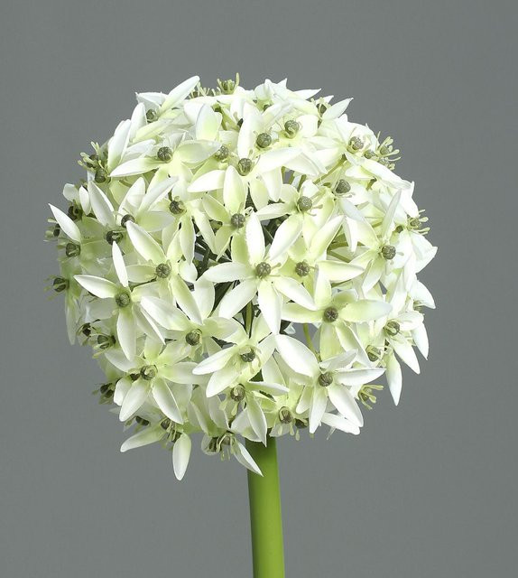 Kunstblume Allium DPI in Weiß aus Kunststoff - Bild 1