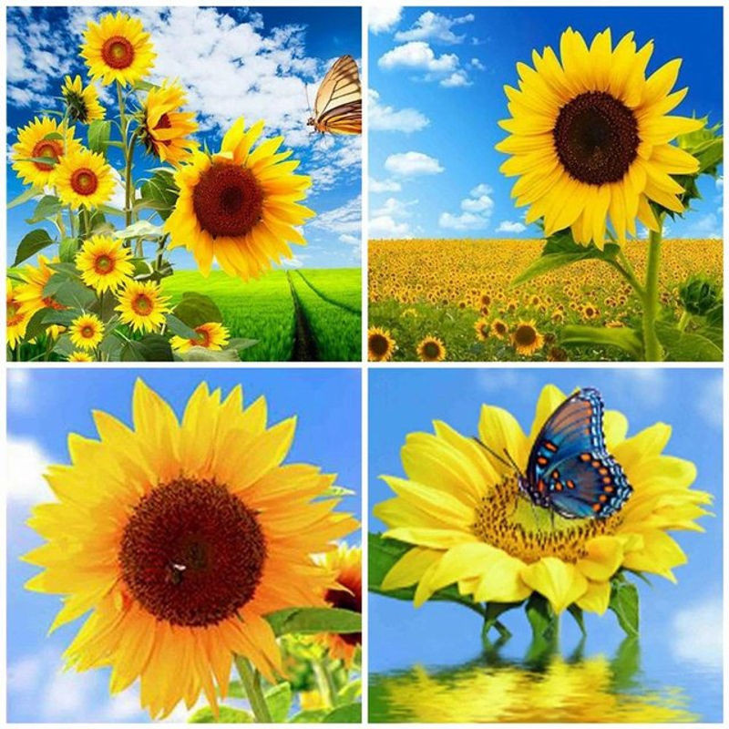 FIYO Diamant-Gemälde Sonnenblume, quadratische Diamant-Stickerei als Mosaik-Kunsthandwerk in Braun und Mehrfarbig, B/H: 50 x 50 cm - Bild 1