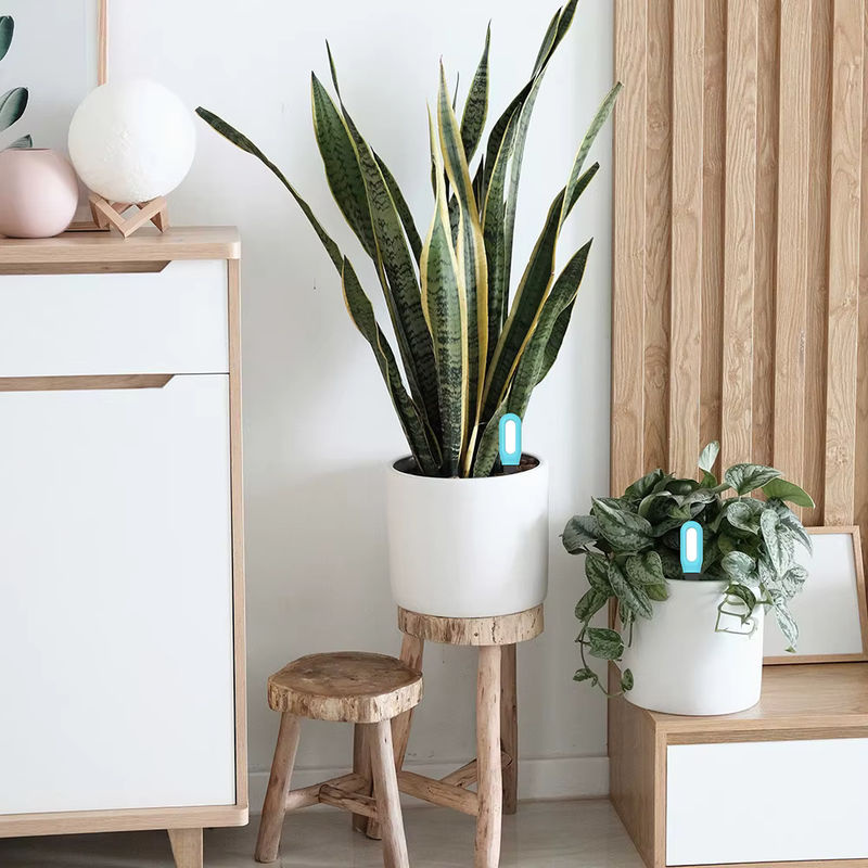 Haozee Tuya Smart Bluetooth Bodentester Temperatur- und Feuchtigkeitsmesser für die Gartenautomatisierung - Bild 4