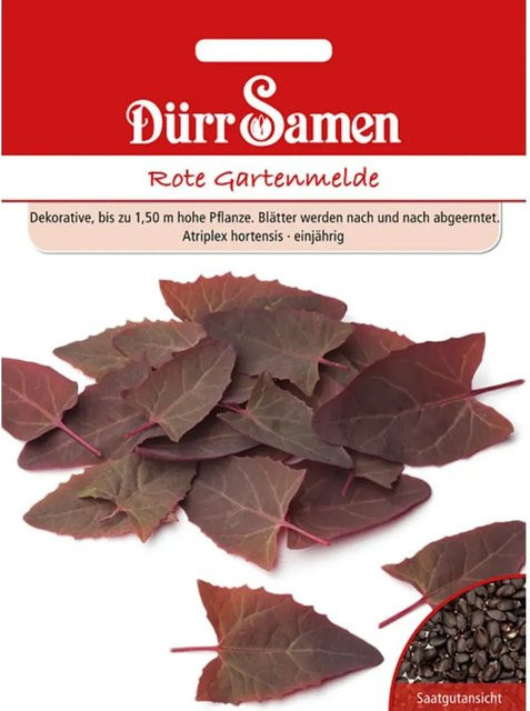 Dürr Rote Gartenmelde Saatgut für den Garten - Bild 1