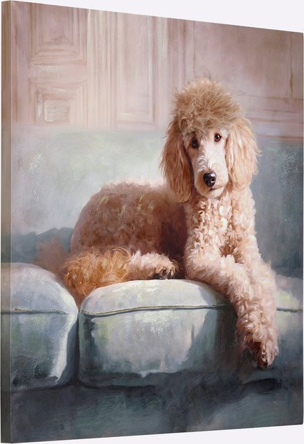 Kunstleinwand Impressionen Hund in Natur mit Tannenholz Rahmen B: 80 cm, H: 80 cm - Bild 1