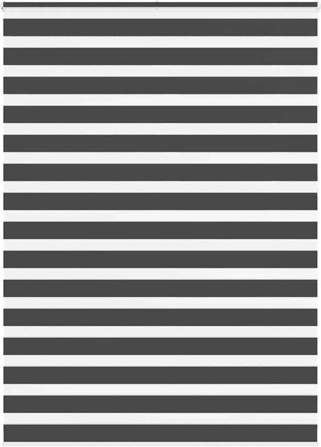 vidaXL Doppelrollo Day & Night Schwarz gestreift aus Polyester B/H: 165 x 230 cm - Bild 1