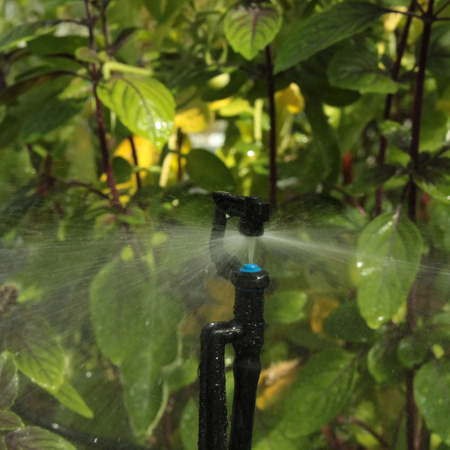 ELGO Bewässerungssystem MGS48 Micro-Sprayer für Gewächshäuser in Schwarz zur Abdeckung einer Fläche von 5 m² bis 8 m²