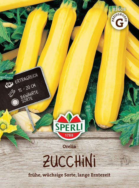 SPERLI Zucchini-Samen Orelia F1 gelbe Gemüsesamen - Bild 1