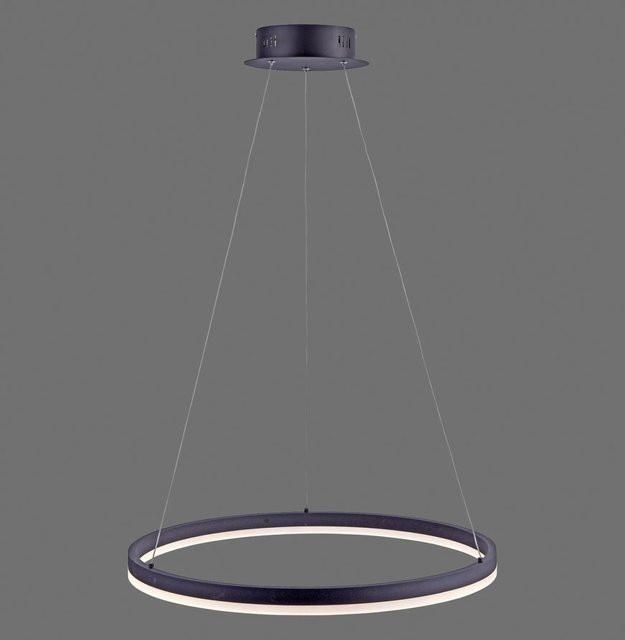 Paul Neuhaus LED-Pendelleuchte Titus in Anthrazit, höhenverstellbar und stufenlos dimmbar, Durchmesser: 60 cm - Bild 1
