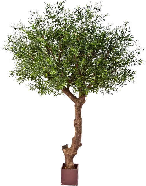 Künstlicher Olivenbaum Ilias von Aplanta, Höhe: 270 cm - Bild 1