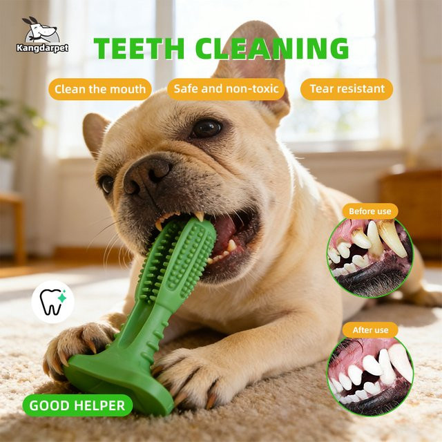 Kangdarpet Hundespielzeug, Zahnbürsten-Quietschspielzeug, Zahnreinigungszubehör - Bild 1