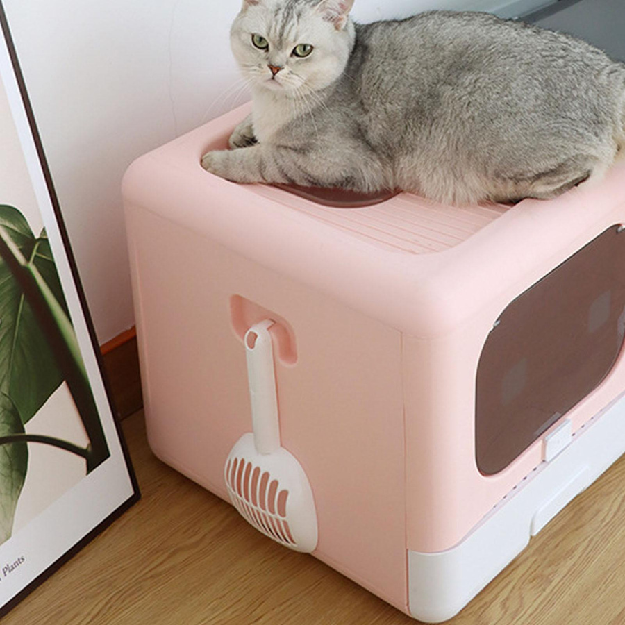 Aimo Katzenklo aus Kunststoff in Rosa, auslaufsichere Katzentoilette in Großformat - Bild 2