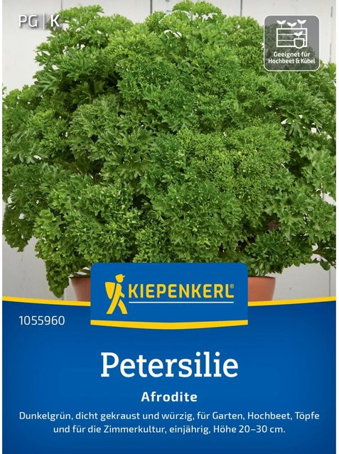 Kiepenkerl Profi-Line Petersilie Afrodite Saatgut - Bild 1